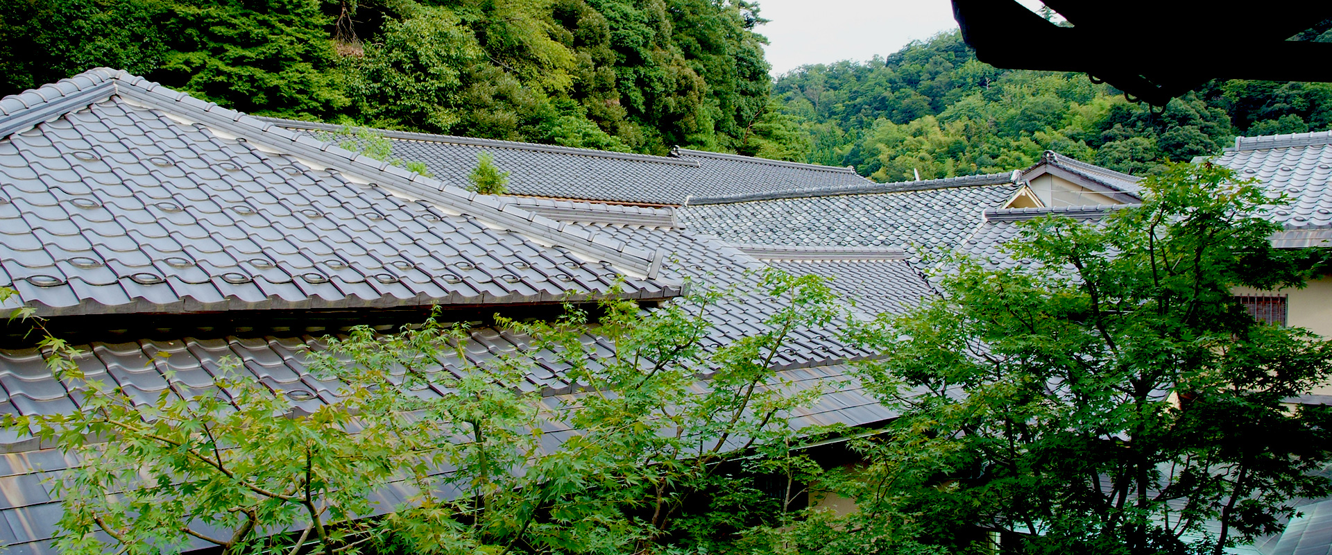 Photo: 蓬莱