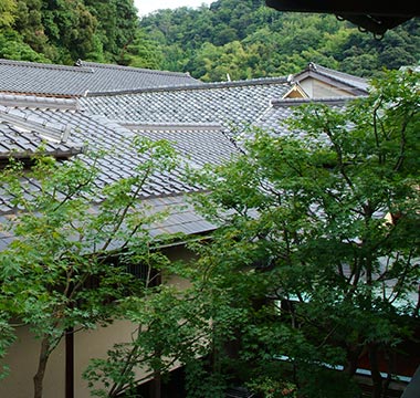 写真:平田館の自然