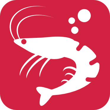 Shrimp