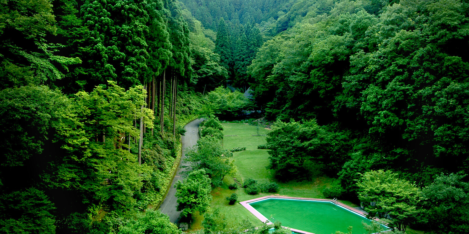 森林